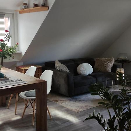 Gemuetliche 5Pers Ferienwohnung "Am Steinbach" Naehe Nuernberg Ruhig Und Gute Anbindung Burgthann エクステリア 写真